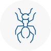 Ant Removals In South Molton
