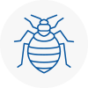 Bed Bug Extermination In South Molton