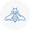 Bee Nest Removal South Molton