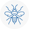 South Molton Hornet Nest Removals