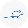Mice Exterminators In South Molton