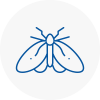 Moth Control Specialists In South Molton