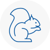 South Molton Rodent Removals